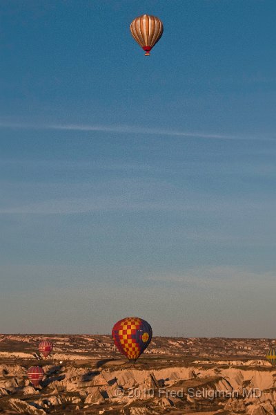 20100405_065355 D300.jpg - Nearby balloons glisten in the early morning light